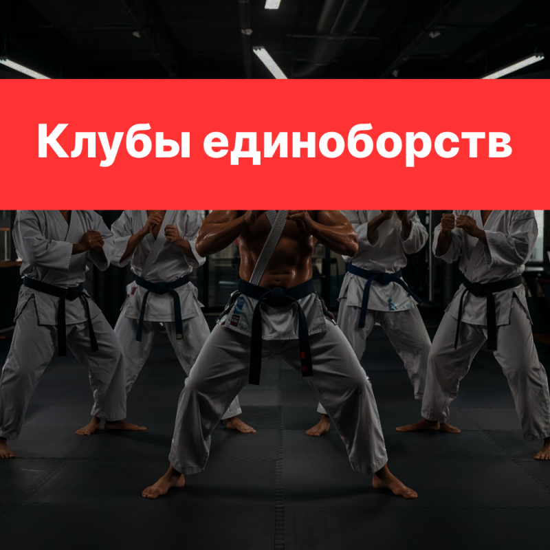 Стратегия продвижения клуба единоборств